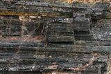 Black Tourmaline (Schorl) With Mica - Brazil #267007-1